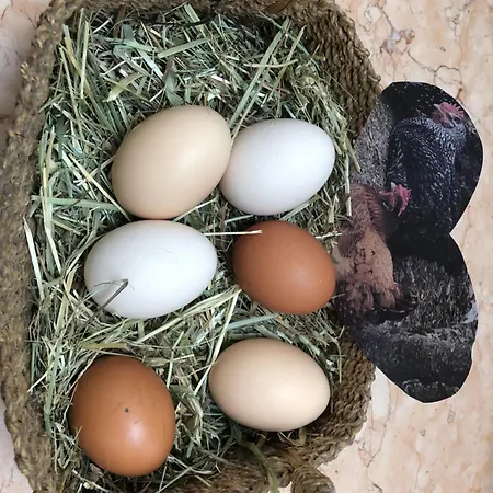 Il Nido Della Buonanotte 2 Kids Friendly *