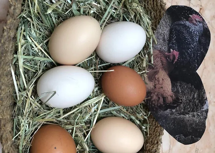 Il Nido Della Buonanotte 2 Kids Friendly *